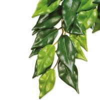 Décoration Exo Terra plante textile Ficus grande